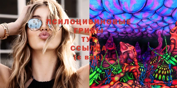 трава Новодвинск