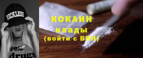 трава Новодвинск