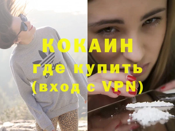 PSILOCYBIN Новозыбков