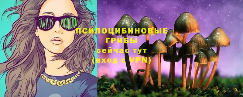 даркнет сайт  Берёзовка  Псилоцибиновые грибы Cubensis 